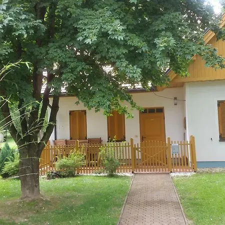 Borovnica