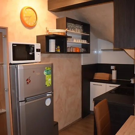 Apartman Borovnica *