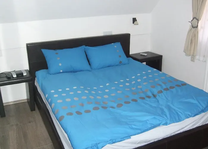 Borovnica Apartamento