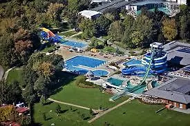 Borovnica Daire Moravske-Toplice