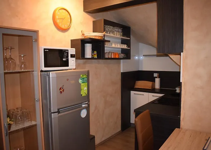 Apartamento Borovnica *